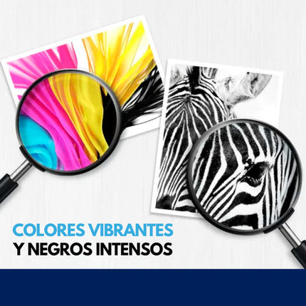 Pack Cartucho Tinta Nuevo Ep T731n T732 T733 T734 Black
