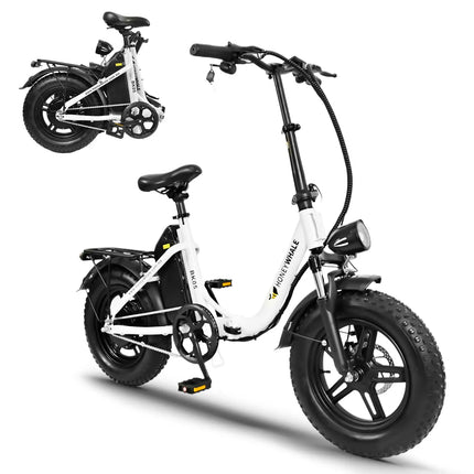 Bicicleta Eléctrica Plegable Honey Whale BK05