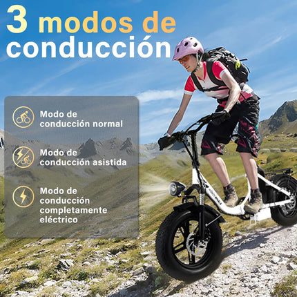 Bicicleta Eléctrica Plegable Honey Whale BK05